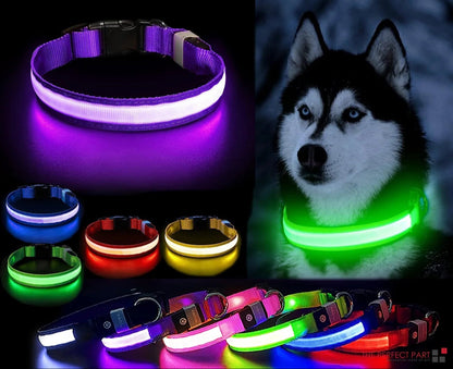 LED Adjustable Dog Collar Blinking Flashing Light up Glow Pets Safety Waterproof